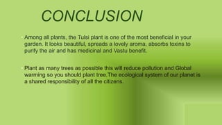 CONCLUSION
• Among all plants, the Tulsi plant is one of the most beneficial in your
garden. It looks beautiful, spreads a lovely aroma, absorbs toxins to
purify the air and has medicinal and Vastu benefit.
• Plant as many trees as possible this will reduce pollution and Global
warming so you should plant tree.The ecological system of our planet is
a shared responsibility of all the citizens.
 