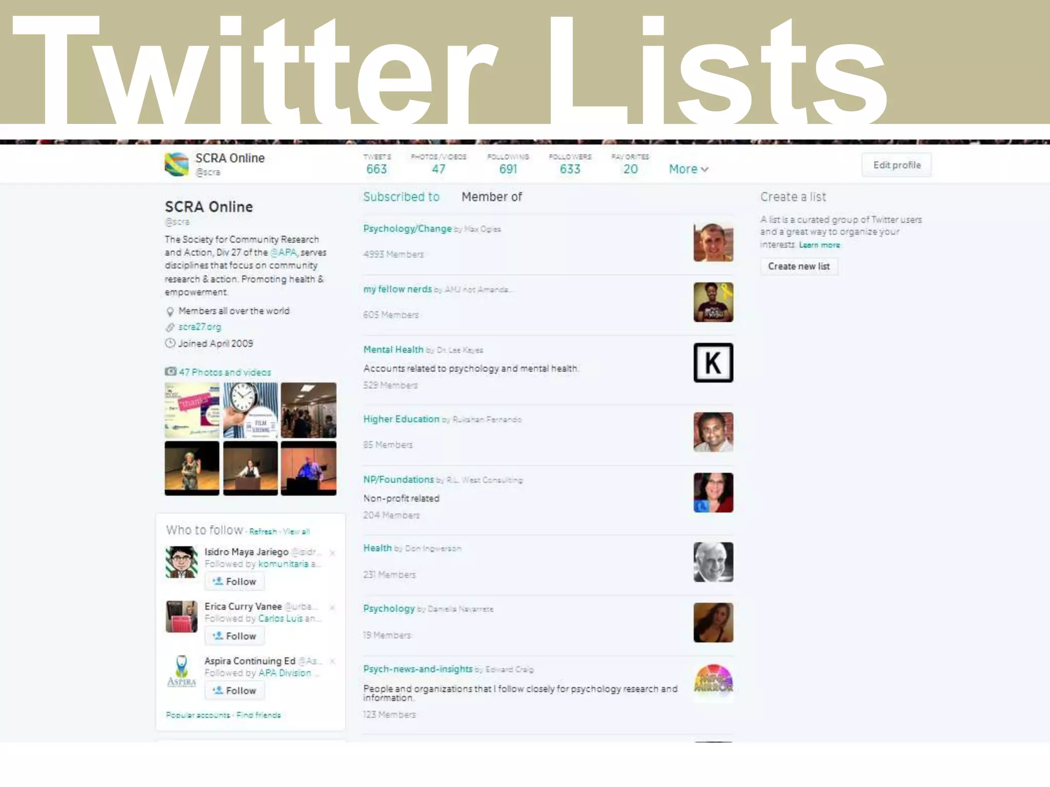 Twitter Lists
 