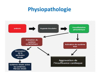 Physiopathologie
 