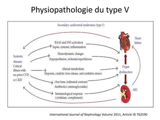 Physiopathologie du type V
International Journal of Nephrology Volume 2011, Article ID 762590
 