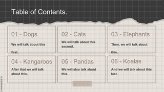 SLIDESMANIA.C
SLIDESMANIA.C
Table of Contents.
We will talk about this
first.
We will talk about this
second.
After that we will talk
about this.
We will also talk about
this.
01 - Dogs 02 - Cats
04 - Kangaroos 05 - Pandas
Then, we will talk about
this.
And we will talk about this
last.
03 - Elephants
06 - Koalas
 