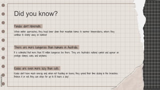 SLIDESMANIA.COM
SLIDESMANIA.COM
Did you know?
Pandas don’t hibernate.
It is estimated that more than 50 million kangaroos live there. They are Australia’s national symbol and appear on
postage stamps, coins, and airplanes.
There are more kangaroos than humans in Australia.
Koalas don’t have much energy and, when not feasting on leaves, they spend their time dozing in the branches.
Believe it or not, they can sleep for up to 18 hours a day!
Koalas are even more lazy than cats.
When winter approaches, they head lower down their mountain homes to warmer temperatures, where they
continue to chomp away on bamboo!
 