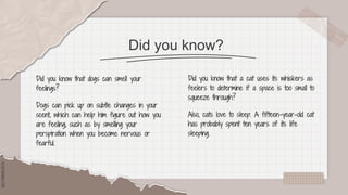 SLIDESMANIA.COM
SLIDESMANIA.COM
Did you know?
Did you know that a cat uses its whiskers as
feelers to determine if a space is too small to
squeeze through?
Also, cats love to sleep. A fifteen-year-old cat
has probably spent ten years of its life
sleeping.
Did you know that dogs can smell your
feelings?
Dogs can pick up on subtle changes in your
scent, which can help him figure out how you
are feeling, such as by smelling your
perspiration when you become nervous or
fearful.
 