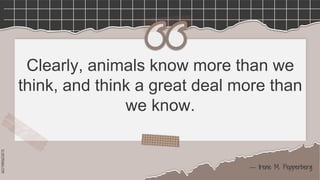 SLIDESMANIA.COM
Clearly, animals know more than we
think, and think a great deal more than
we know.
― Irene M. Pepperberg
 
