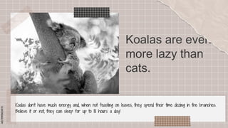 Scrap Notes · SlidesMania powerpoint ppt | PPTX