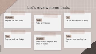 Scrap Notes · SlidesMania powerpoint ppt | PPTX
