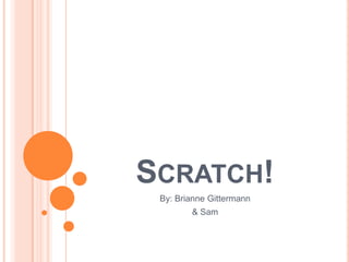 SCRATCH!
By: Brianne Gittermann
& Sam
 