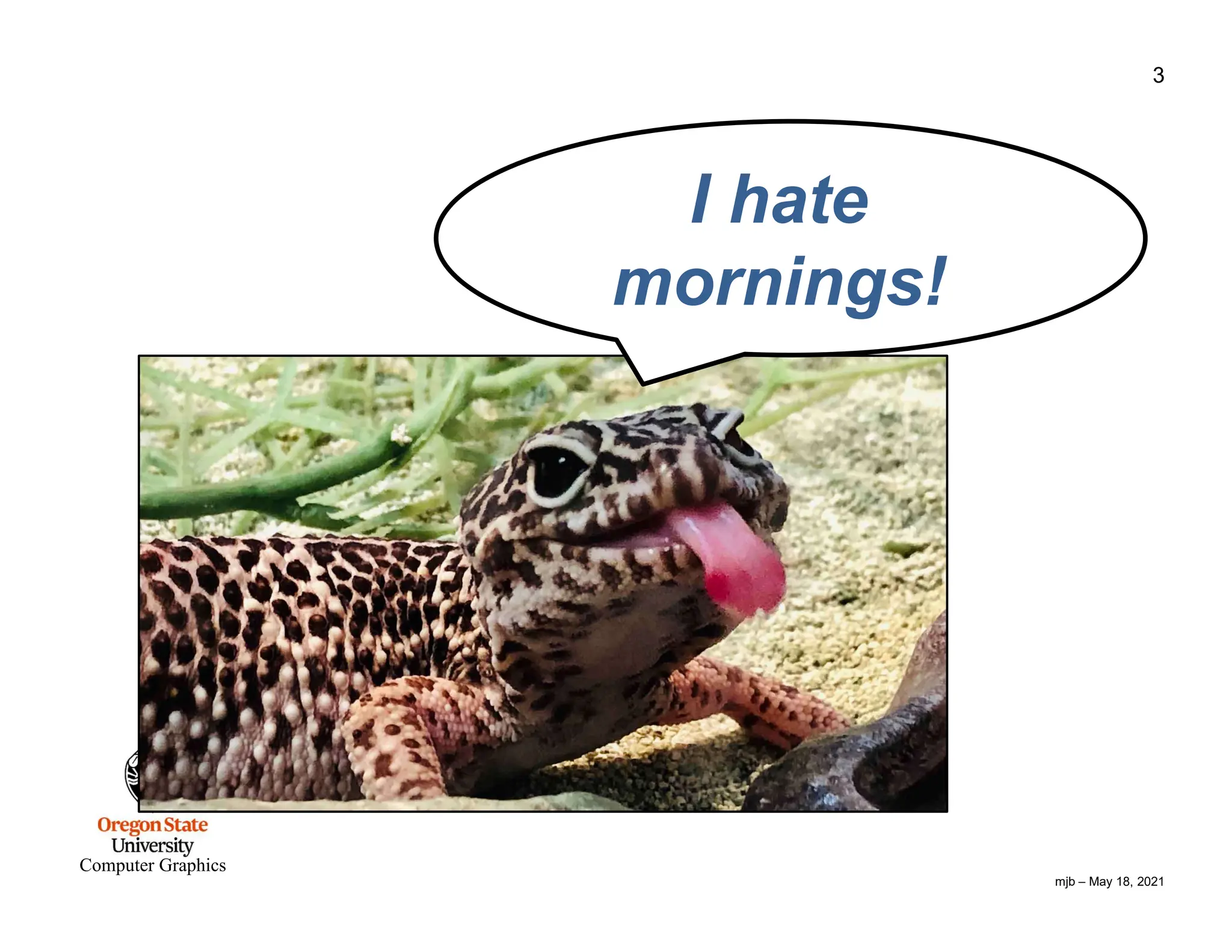mjb – May 18, 2021 3 Computer Graphics I hate mornings! 