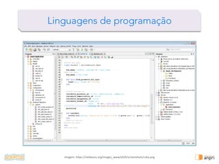 !
Imagem:	
  h)p://cdvideoweb.com/wp-­‐content/uploads/2013/09/prog.png	
  
Linguagens de programação
 
