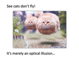 See cats don’t fly!
It’s merely an optical illusion…
 