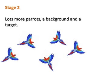 Scratch Parrot Game | PPTX