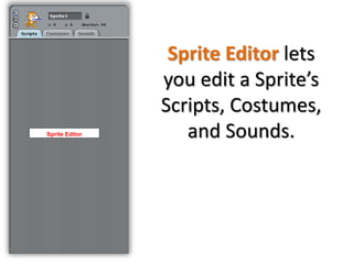 Scratch Parrot Game | PPTX