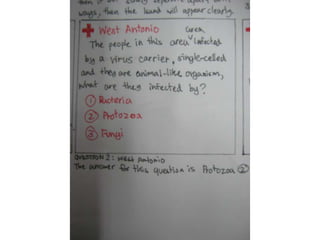 Scratch animation initial design