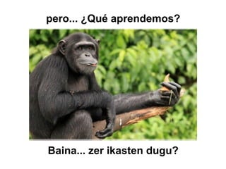 Baina... zer ikasten dugu?
pero... ¿Qué aprendemos?
 