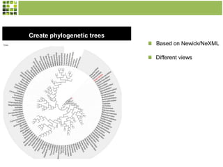 Create phylogenetic trees
Based on Newick/NeXML
Different views

 