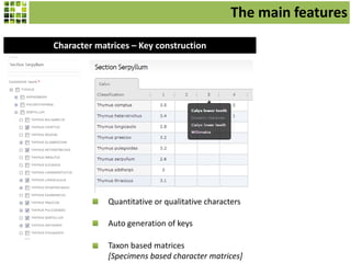 The main features
Character matrices – Key construction

Quantitative or qualitative characters
Auto generation of keys
Taxon based matrices
[Specimens based character matrices]

 