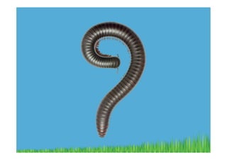 Scratchpads past,present,future