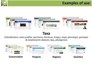 Taxa
(Classifications, taxon profiles, specimens, literature, images, maps, phenotypic, genotypic
& morphometric datasets, keys, phylogenies)
ProjectsConservation Regions Societies
Examples of use:
 