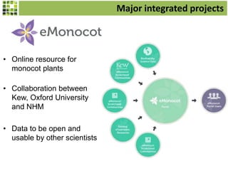 Major integrated projects
• Online resource for
monocot plants
• Collaboration between
Kew, Oxford University
and NHM
• Data to be open and
usable by other scientists
 