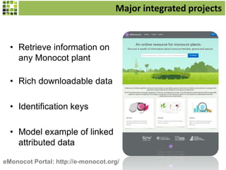 Major integrated projects
• Retrieve information on
any Monocot plant
• Rich downloadable data
• Identification keys
• Model example of linked
attributed data
eMonocot Portal: http://e-monocot.org/
 