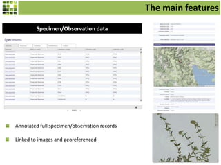 Specimen/Observation data
Linked to images and georeferenced
Annotated full specimen/observation records
The main features
 