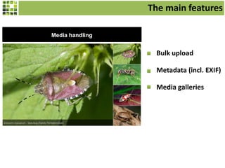 Media handling
Bulk upload
Metadata (incl. EXIF)
Media galleries
The main features
 