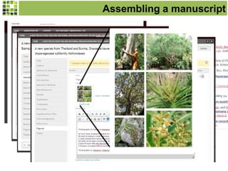 Assembling a manuscript
 