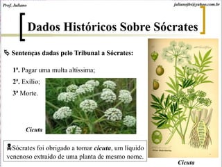  Sentenças dadas pelo Tribunal a Sócrates:
1ª. Pagar uma multa altíssima;
2ª. Exílio;
3ª Morte.
Dados Históricos Sobre Sócrates
Sócrates foi obrigado a tomar cicuta, um líquido
venenoso extraído de uma planta de mesmo nome.
Cicuta
Cicuta
Prof. Juliano julianojbs@yahoo.com.br
 