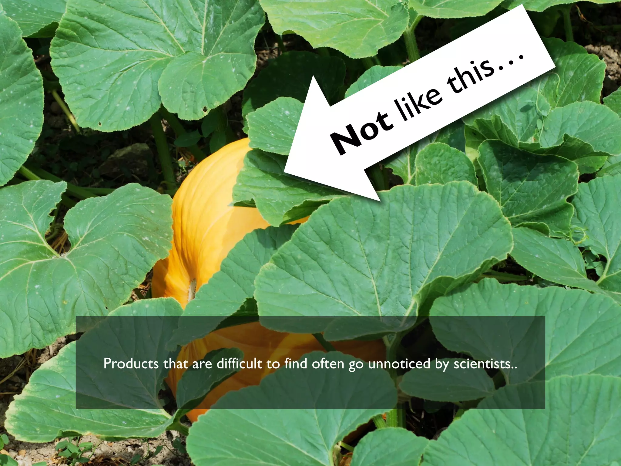 Products that are difficult to find often go unnoticed by scientists..
 