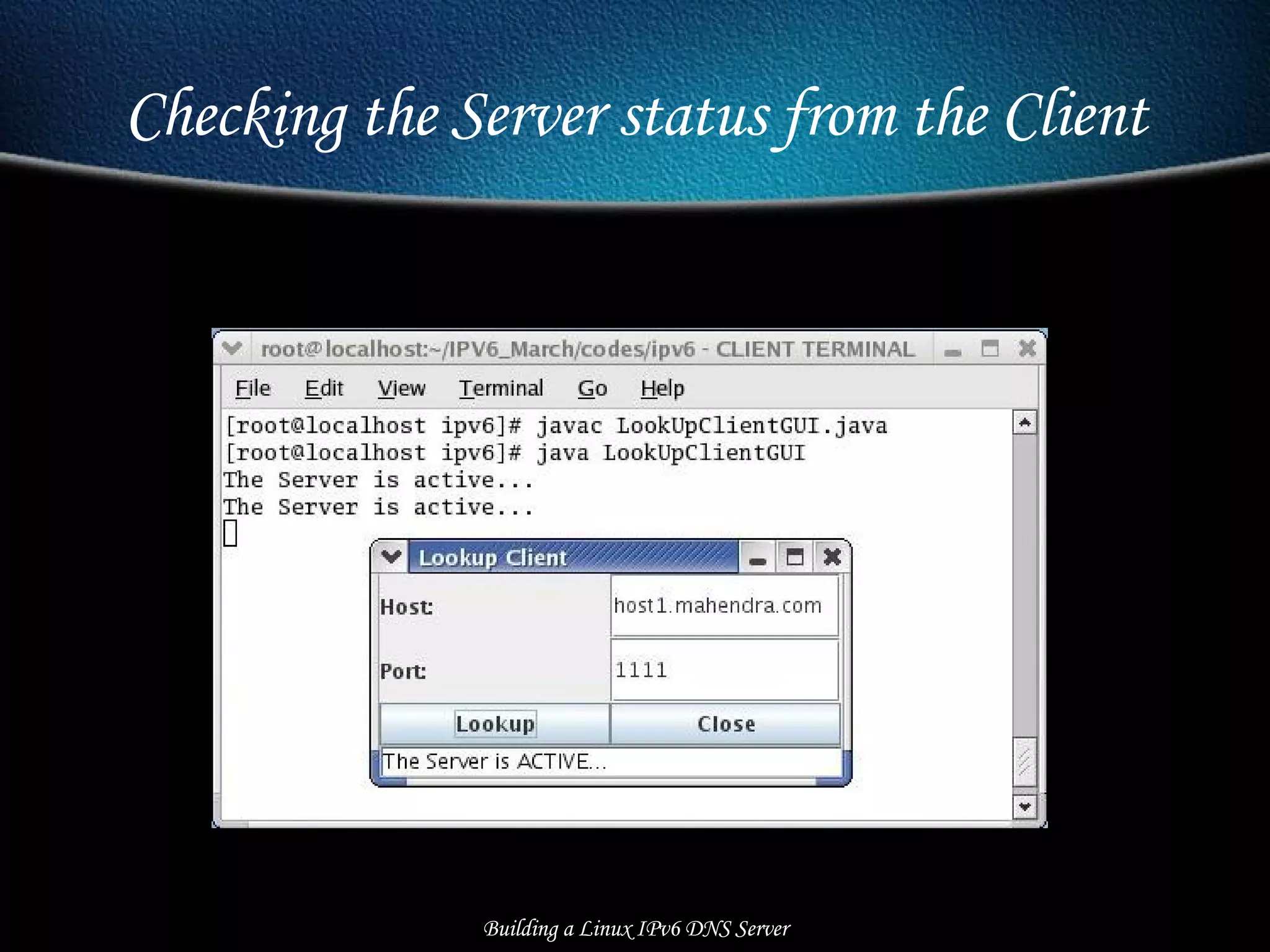 Checking the Server status from the Client Building a Linux IPv6 DNS Server 