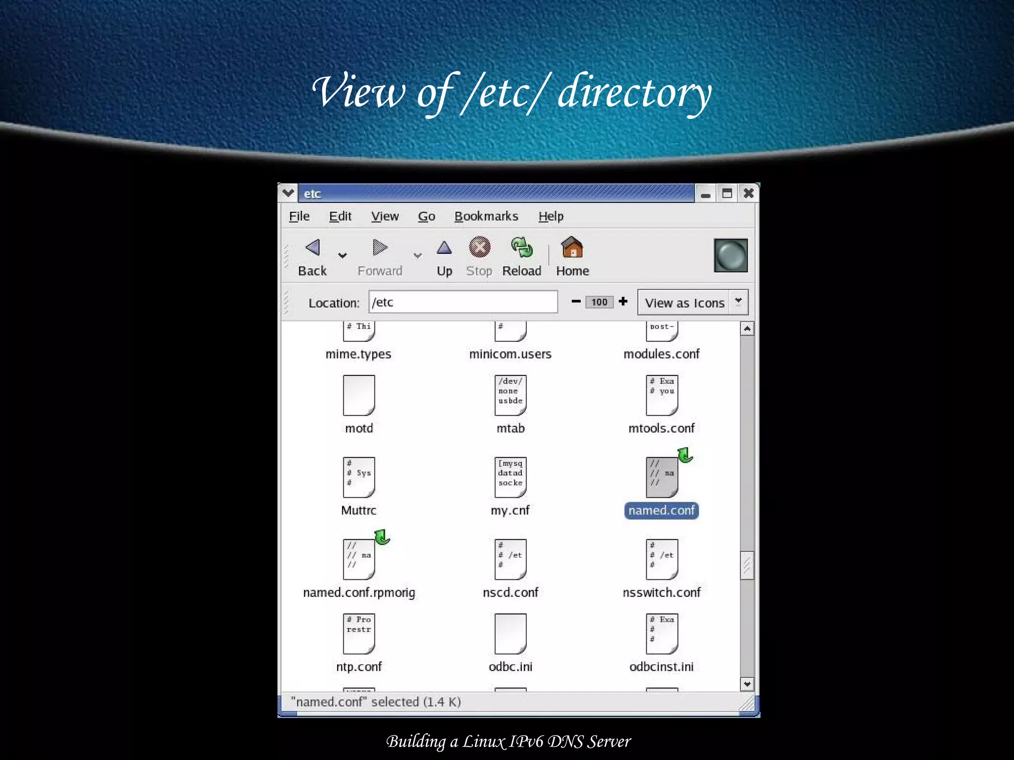 View of /etc/ directory Building a Linux IPv6 DNS Server 