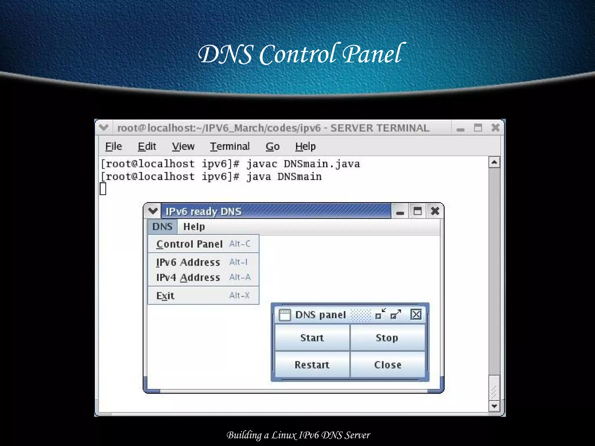 DNS Control Panel Building a Linux IPv6 DNS Server 