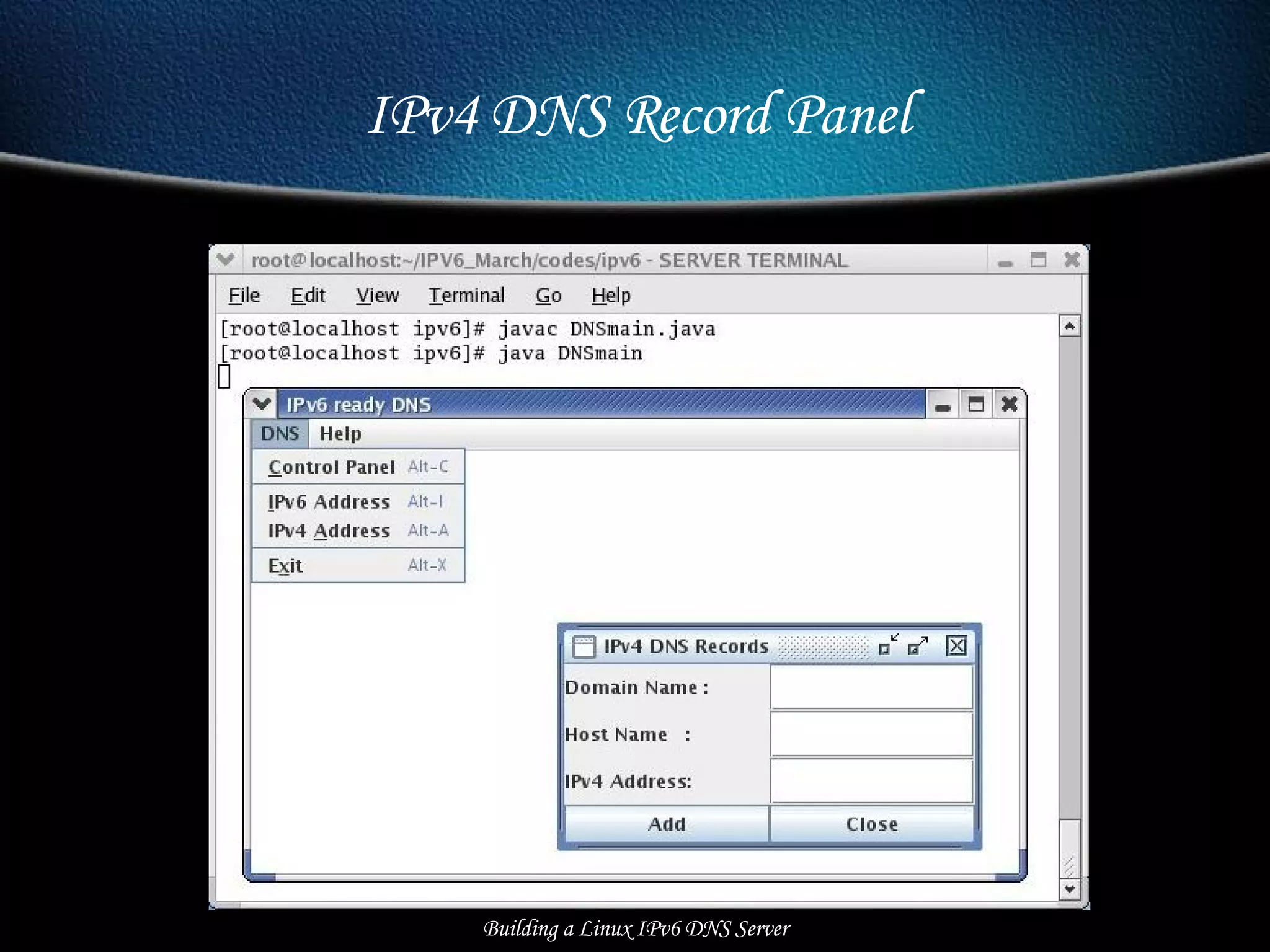IPv4 DNS Record Panel Building a Linux IPv6 DNS Server 