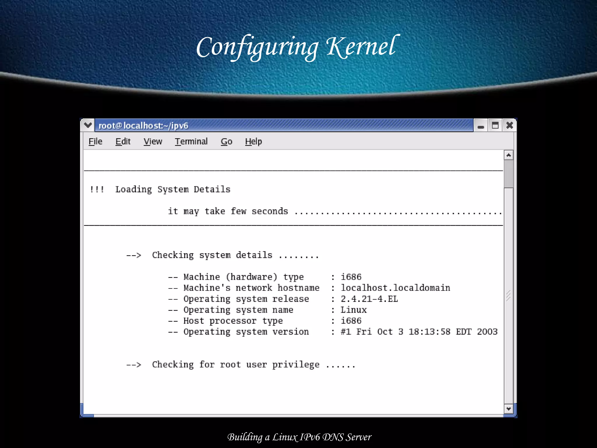 Building a Linux IPv6 DNS Server Configuring Kernel  