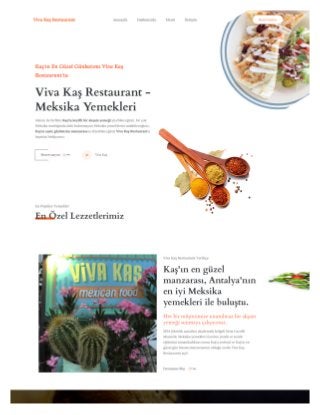Viva Kaş Mexican Food Restaurant Website design and software service
