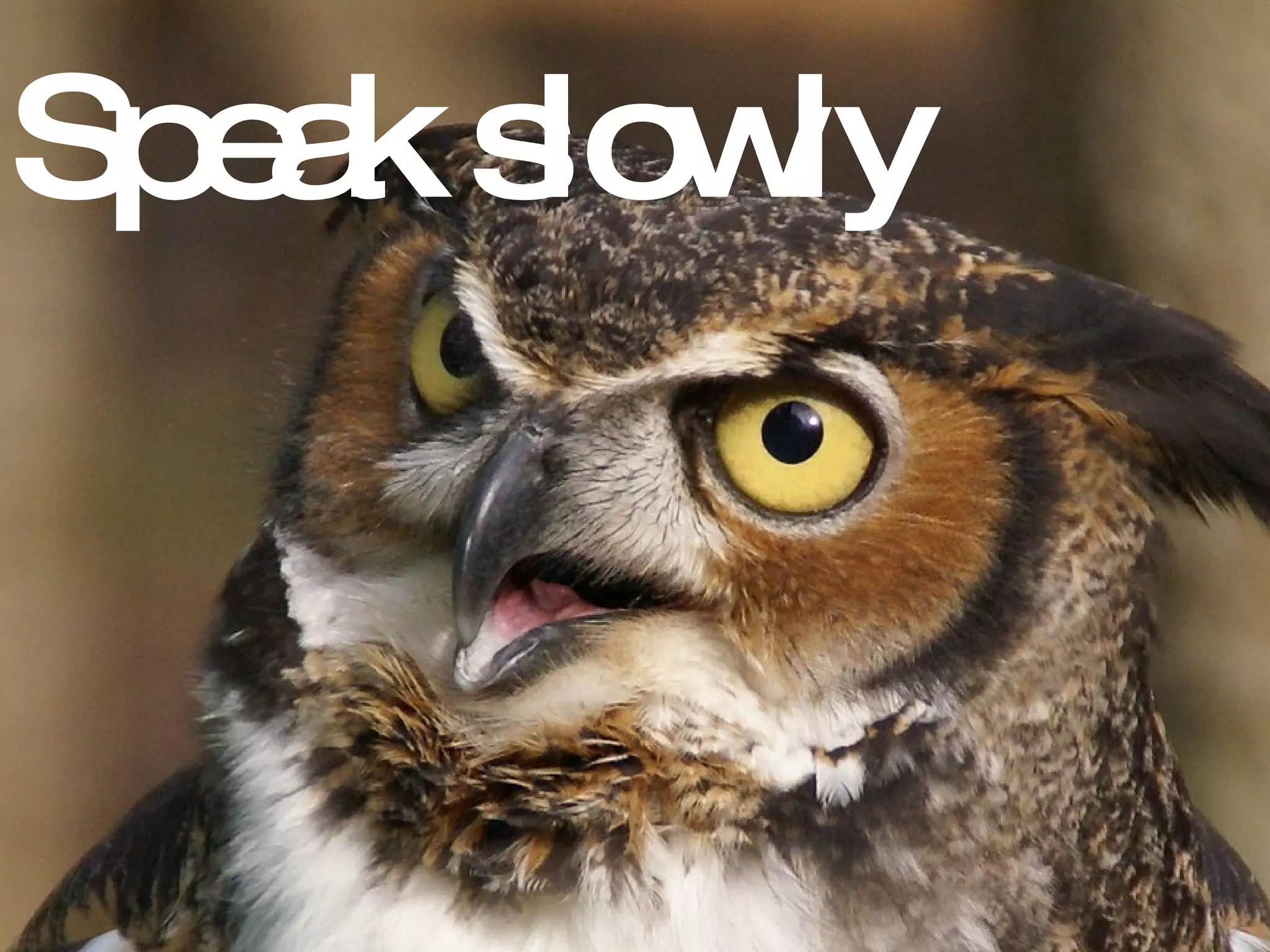 Speak slowly 