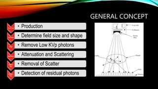 Radiographic Intensifying Screen | PPTX