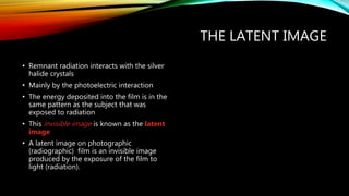 THE LATENT IMAGE
• Remnant radiation interacts with the silver
halide crystals
• Mainly by the photoelectric interaction
• The energy deposited into the film is in the
same pattern as the subject that was
exposed to radiation
• This invisible image is known as the latent
image
• A latent image on photographic
(radiographic) film is an invisible image
produced by the exposure of the film to
light (radiation).
 