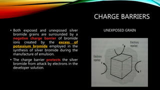 CHARGE BARRIERS
• Both exposed and unexposed silver
bromide grains are surrounded by a
negative charge barrier of bromide
ions created by the excess of
potassium bromide employed in the
synthesis of silver bromide during the
manufacture of emulsion.
• The charge barrier protects the silver
bromide from attack by electrons in the
developer solution.
UNEXPOSED GRAIN
 