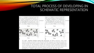 TOTAL PROCESS OF DEVELOPING IN
SCHEMATIC REPRESENTATION
 