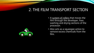 2. THE FILM TRANSPORT SECTION
• A system of rollers that moves the
film through the developer, fixer,
washing and drying sections of the
processor.
• Also acts as a squeegee action to
remove excess chemicals from the
film.
 