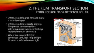 2. THE FILM TRANSPORT SECTION
ENTRANCE ROLLER OR DETECTOR ROLLER
• Entrance rollers grab film and draw
it into developer
• Entrance rollers separate slightly,
film passes between rollers
activating microswitch controlling
replenishment of chemicals
• When film is completely in
developer tank, bell ring or light
flicks on – safe to turn on light
 