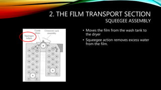 2. THE FILM TRANSPORT SECTION
SQUEEGEE ASSEMBLY
• Moves the film from the wash tank to
the dryer
• Squeegee action removes excess water
from the film.
 