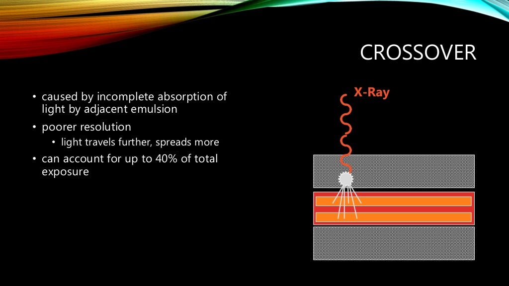 Dark Room Construction