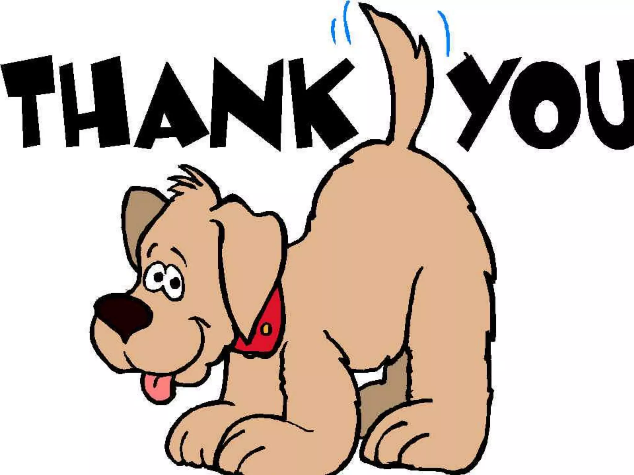 Screening of high risk pregnancy