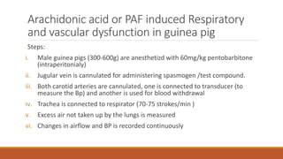 Arachidonic acid or PAF induced Respiratory
and vascular dysfunction in guinea pig
Steps:
i. Male guinea pigs (300-600g) are anesthetizd with 60mg/kg pentobarbitone
(intraperitonialy)
ii. Jugular vein is cannulated for administering spasmogen /test compound.
iii. Both carotid arteries are cannulated, one is connected to transducer (to
measure the Bp) and another is used for blood withdrawal
iv. Trachea is connected to respirator (70-75 strokes/min )
v. Excess air not taken up by the lungs is measured
vi. Changes in airflow and BP is recorded continuously
 
