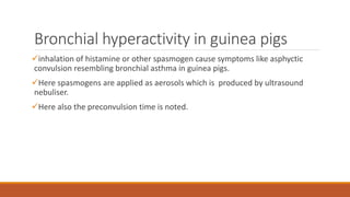 Bronchial hyperactivity in guinea pigs
inhalation of histamine or other spasmogen cause symptoms like asphyctic
convulsion resembling bronchial asthma in guinea pigs.
Here spasmogens are applied as aerosols which is produced by ultrasound
nebuliser.
Here also the preconvulsion time is noted.
 