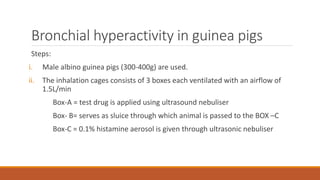 Bronchial hyperactivity in guinea pigs
Steps:
i. Male albino guinea pigs (300-400g) are used.
ii. The inhalation cages consists of 3 boxes each ventilated with an airflow of
1.5L/min
Box-A = test drug is applied using ultrasound nebuliser
Box- B= serves as sluice through which animal is passed to the BOX –C
Box-C = 0.1% histamine aerosol is given through ultrasonic nebuliser
 