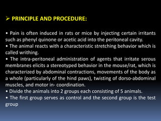  PRINCIPLE AND PROCEDURE:
• Pain is often induced in rats or mice by injecting certain irritants
such as phenyl quinone or acetic acid into the peritoneal cavity.
• The animal reacts with a characteristic stretching behavior which is
called writhing.
• The intra-peritoneal administration of agents that irritate serous
membranes elicits a stereotyped behavior in the mouse/rat, which is
characterized by abdominal contractions, movements of the body as
a whole (particularly of the hind paws), twisting of dorso-abdominal
muscles, and motor in- coordination.
• Divide the animals into 2 groups each consisting of 5 animals.
• The first group serves as control and the second group is the test
group
 