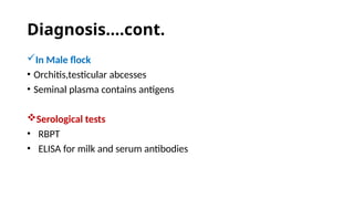 Screening and diagnosis of Brucellosis.pptx